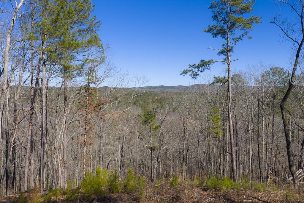 Lot 285 Anglers Ridge Road, Talking Rock GA 30175 - Primary photo