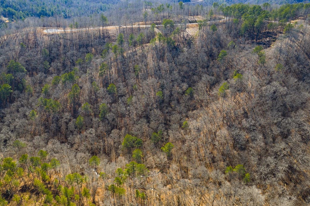 Lot 285 Anglers Ridge Road, Talking Rock GA 30175 - Photo