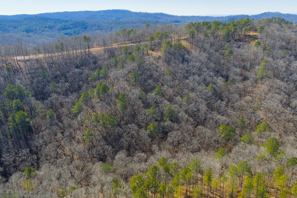 Lot 285 Anglers Ridge Road, Talking Rock GA 30175 - Photo