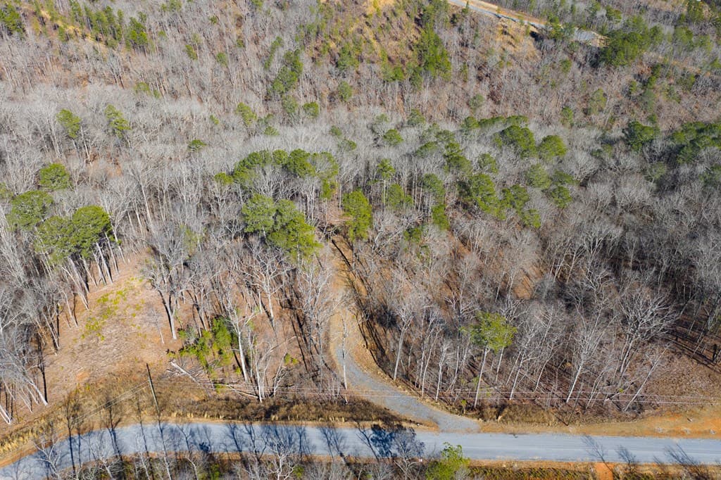 Lot 285 Anglers Ridge Road, Talking Rock GA 30175 - Photo