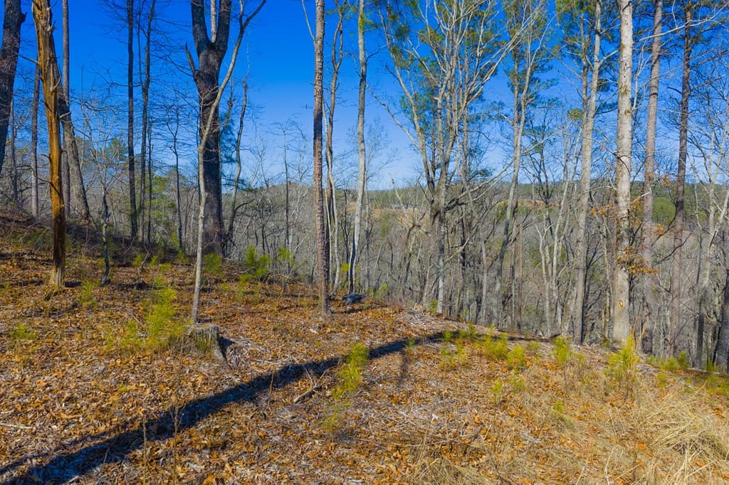 Lot 285 Anglers Ridge Road, Talking Rock GA 30175 - Photo