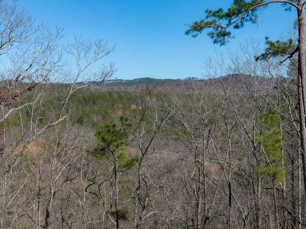 Lot 285 Anglers Ridge Road, Talking Rock GA 30175 - Photo