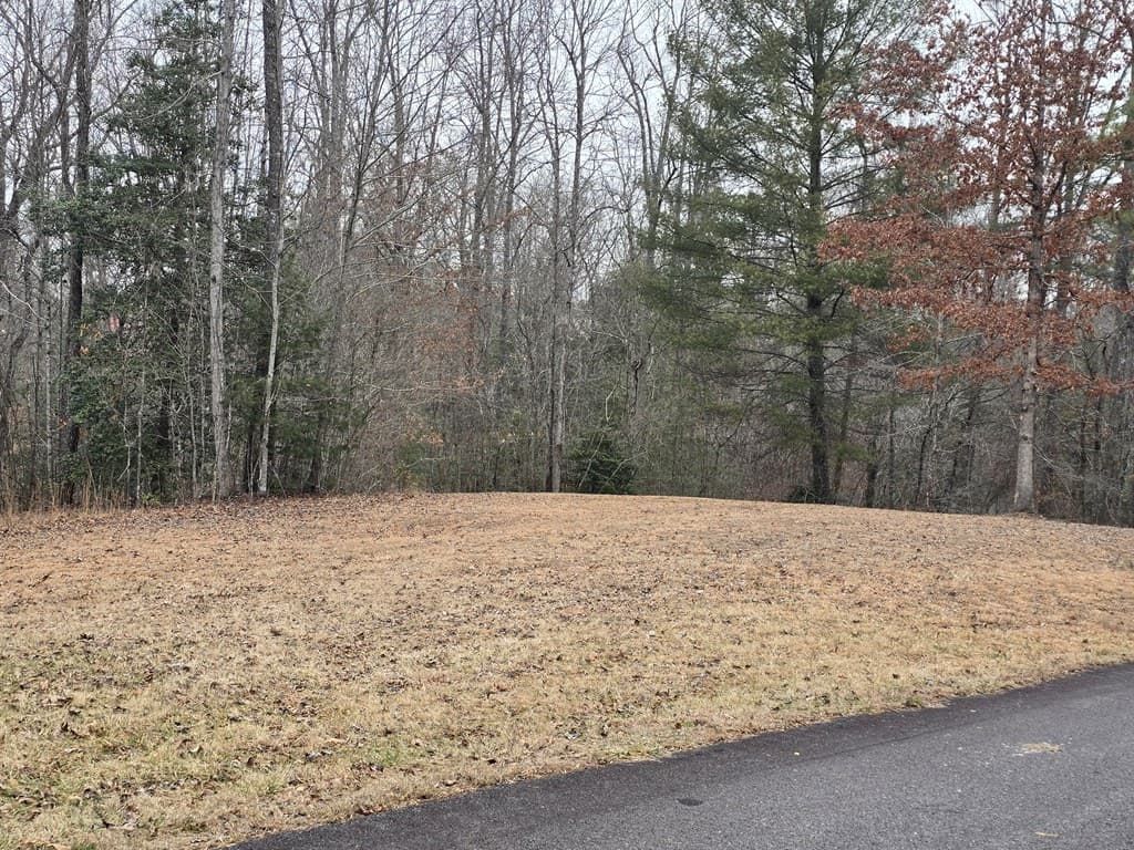 Lot 32 Ridges At Mill Creek, Murphy NC 28906 - Photo