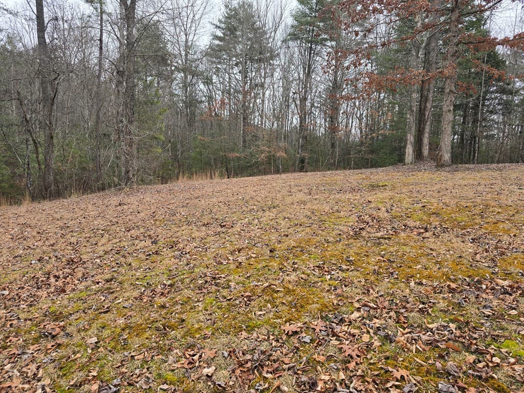 Lot 32 Ridges At Mill Creek, Murphy NC 28906 - Photo