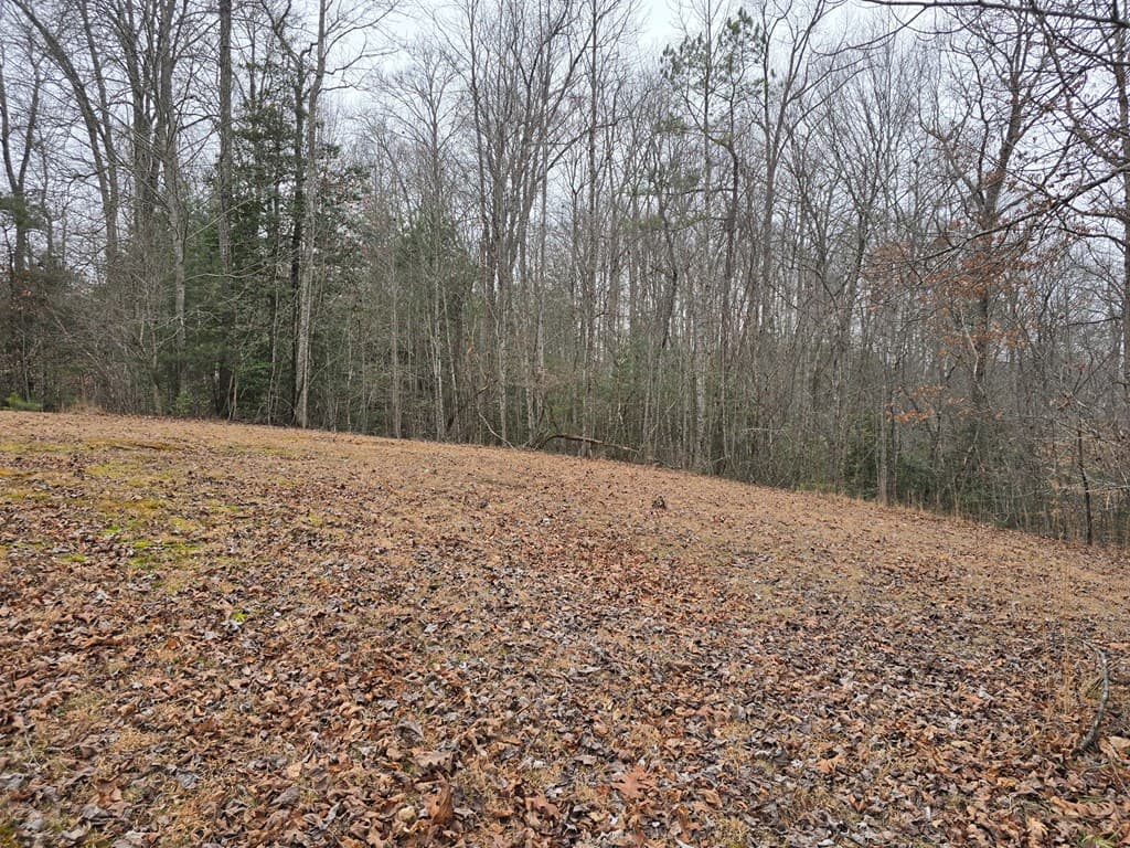 Lot 32 Ridges At Mill Creek, Murphy NC 28906 - Photo