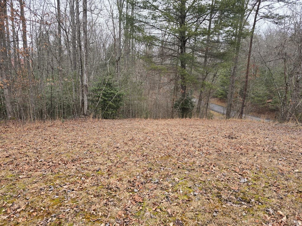 Lot 32 Ridges At Mill Creek, Murphy NC 28906 - Photo