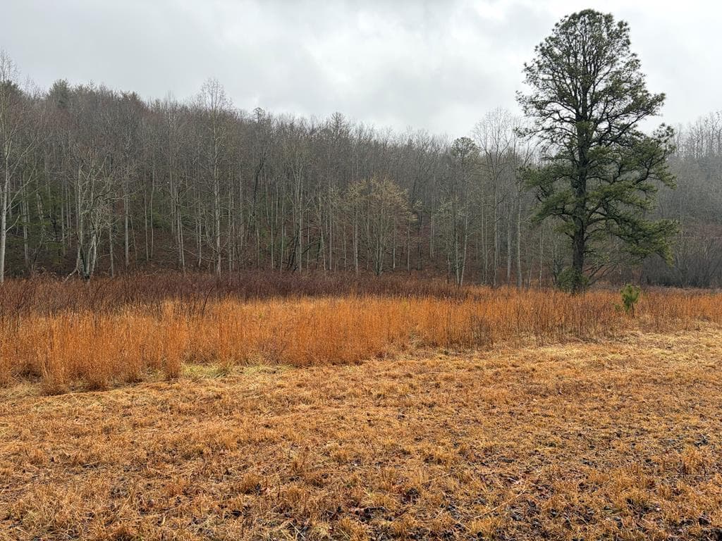 LOT 42 Whisper Woods Road, Hiawassee GA 30546 - Photo