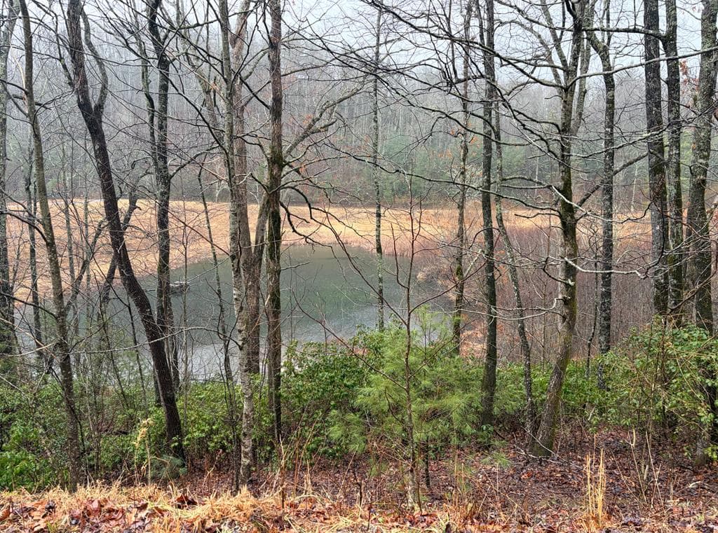 LOT 42 Whisper Woods Road, Hiawassee GA 30546 - Photo
