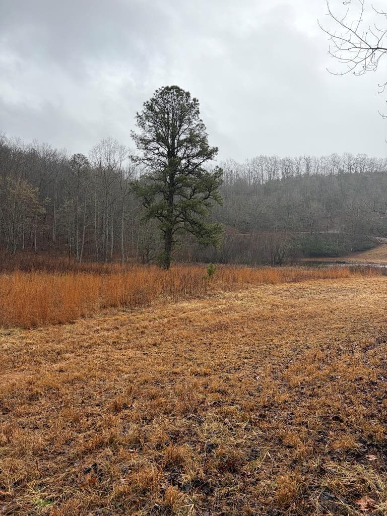 LOT 42 Whisper Woods Road, Hiawassee GA 30546 - Photo