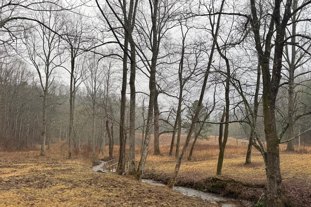 LOT 42 Whisper Woods Road, Hiawassee GA 30546 - Photo