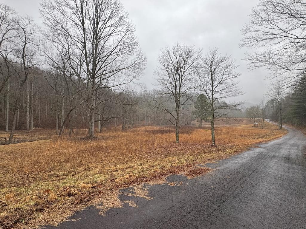 LOT 42 Whisper Woods Road, Hiawassee GA 30546 - Photo