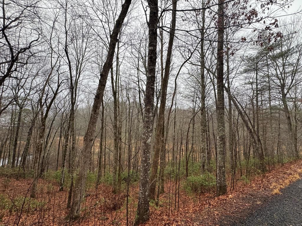 LOT 42 Whisper Woods Road, Hiawassee GA 30546 - Photo
