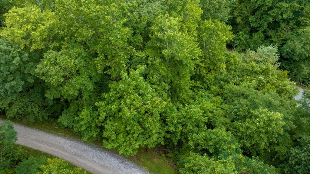 Lot J1 Georgianna Lane, Bryson City NC 28713 - Photo