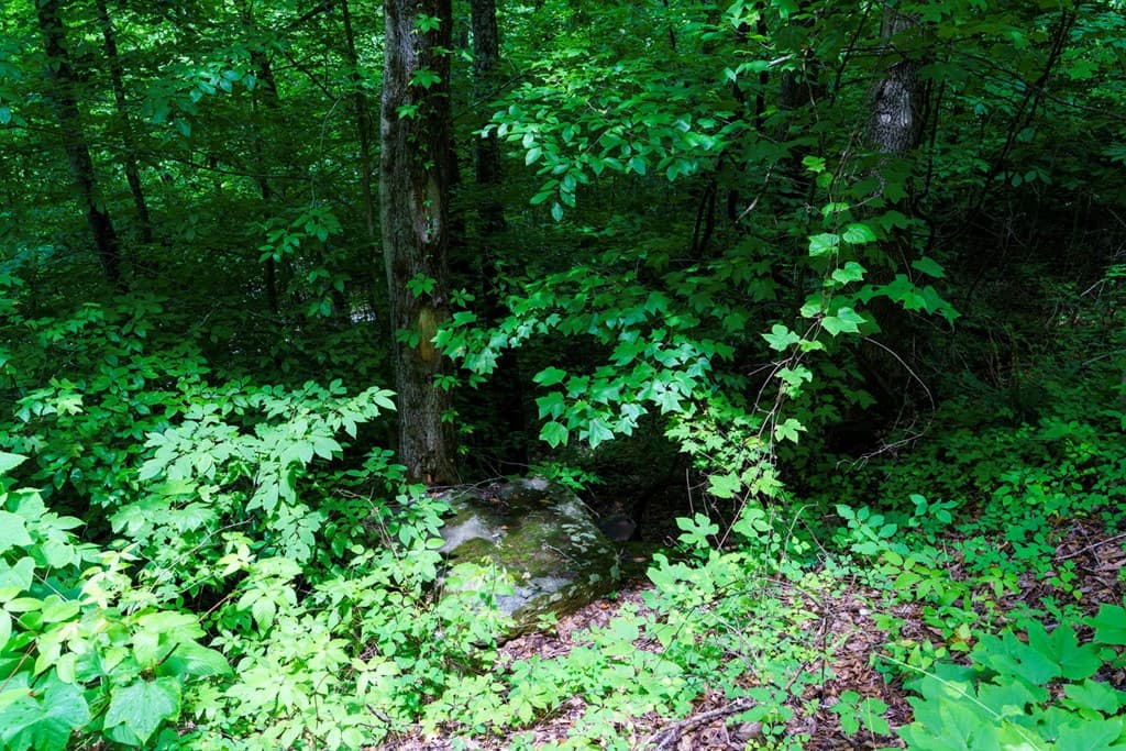 Lot J1 Georgianna Lane, Bryson City NC 28713 - Photo
