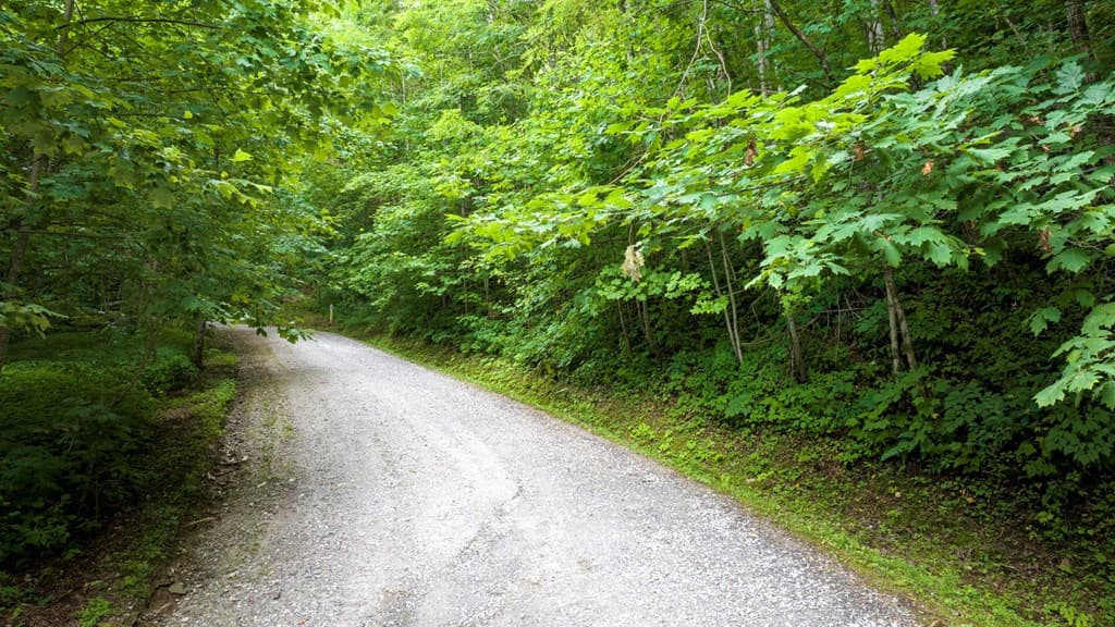 Lot J1 Georgianna Lane, Bryson City NC 28713 - Photo