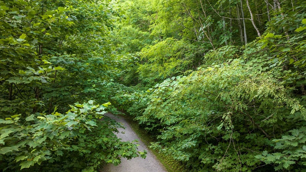 Lot J1 Georgianna Lane, Bryson City NC 28713 - Photo