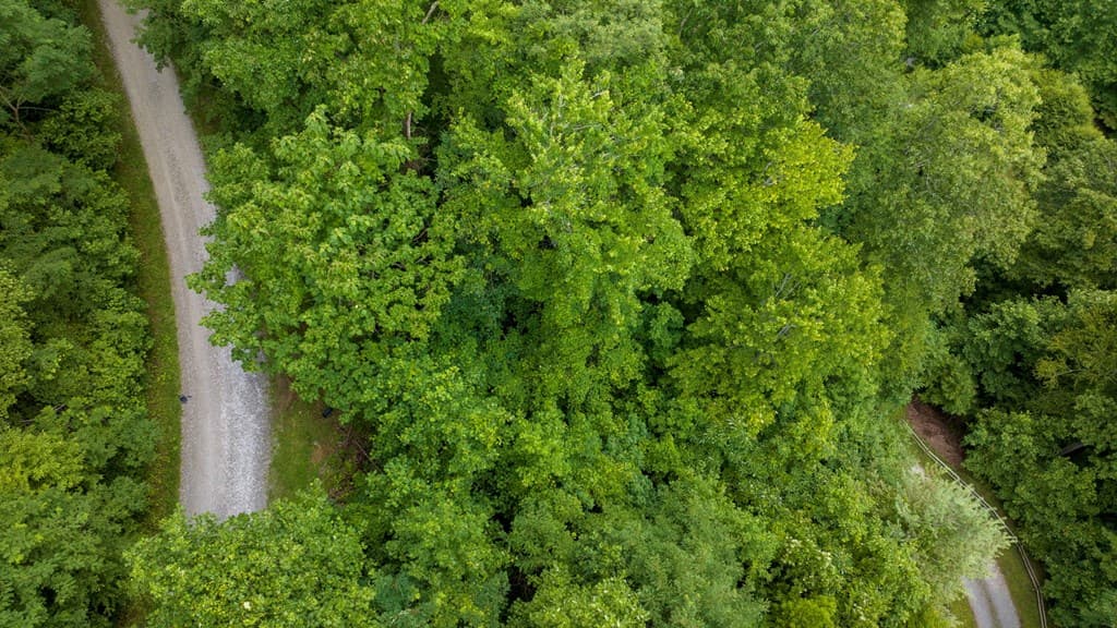 Lot J1 Georgianna Lane, Bryson City NC 28713 - Photo