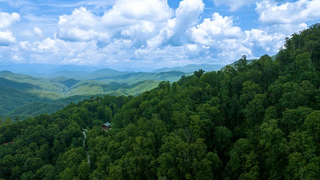 Lot Off Buck Naked, Bryson City NC 28713 - Photo