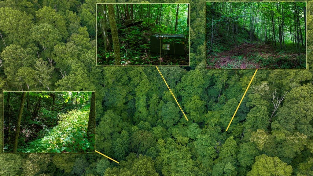 Lot Off Buck Naked, Bryson City NC 28713 - Photo