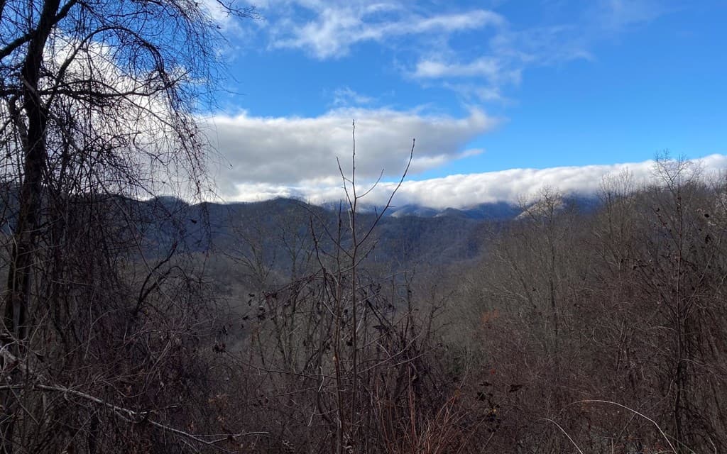 Lot Off Buck Naked, Bryson City NC 28713 - Photo
