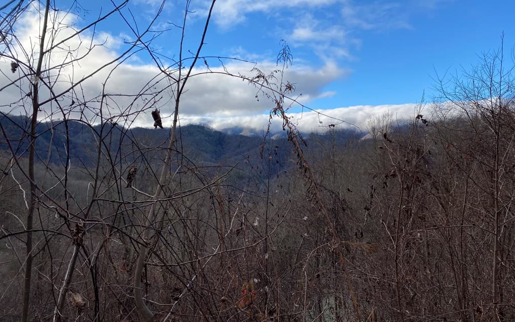Lot Off Buck Naked, Bryson City NC 28713 - Photo