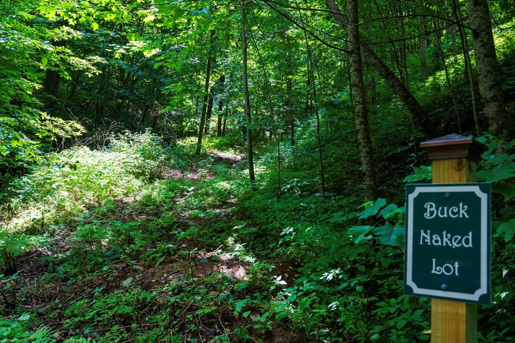 Lot Off Buck Naked, Bryson City NC 28713 - Photo