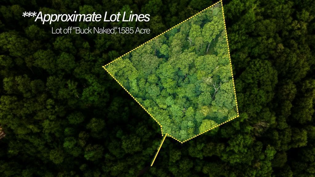 Lot Off Buck Naked, Bryson City NC 28713 - Primary photo