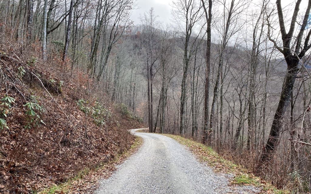 Lot Off Buck Naked, Bryson City NC 28713 - Photo