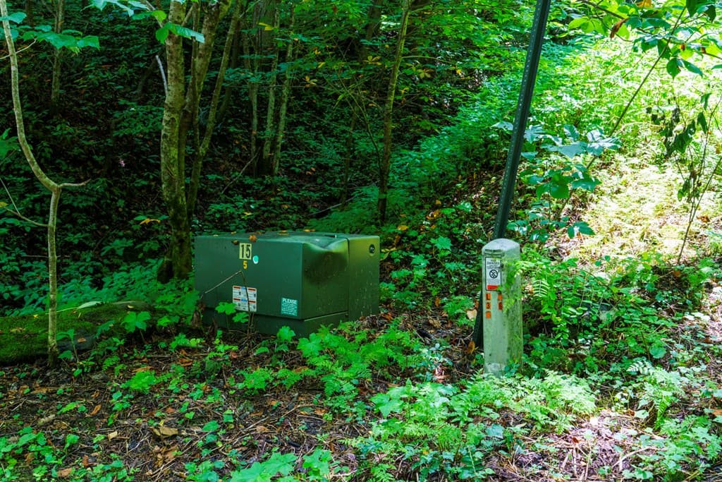 Lot Off Buck Naked, Bryson City NC 28713 - Photo