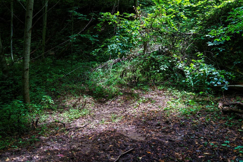 Lot Off Buck Naked, Bryson City NC 28713 - Photo