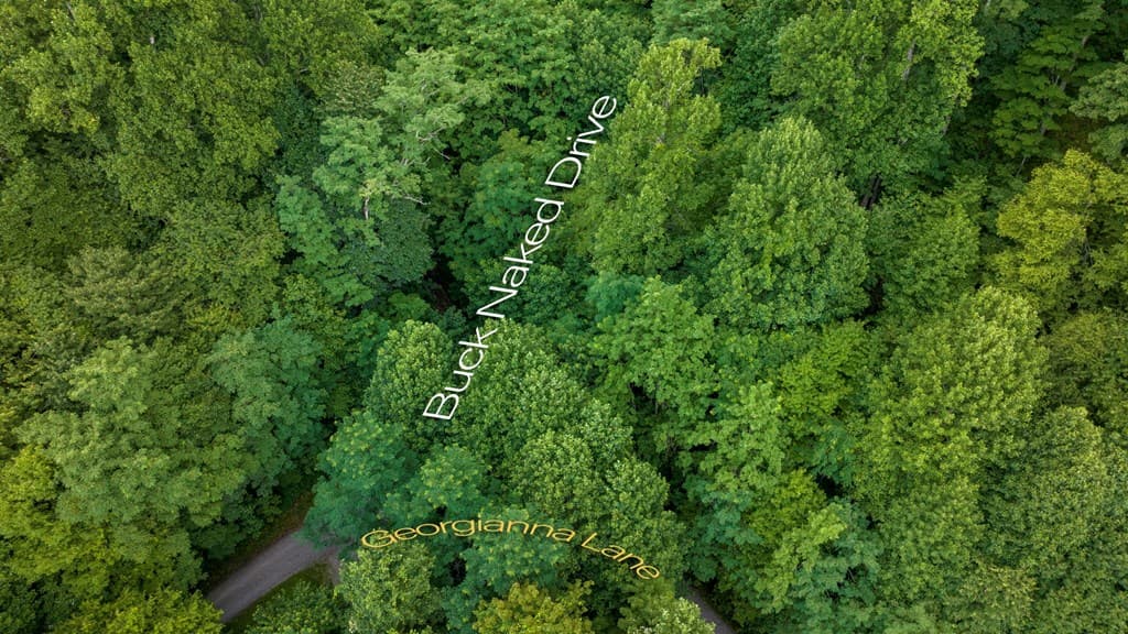 Lot Off Buck Naked, Bryson City NC 28713 - Photo