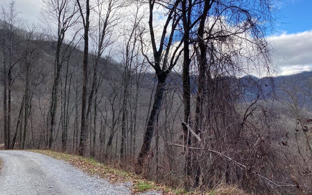 Lot Off Buck Naked, Bryson City NC 28713 - Photo
