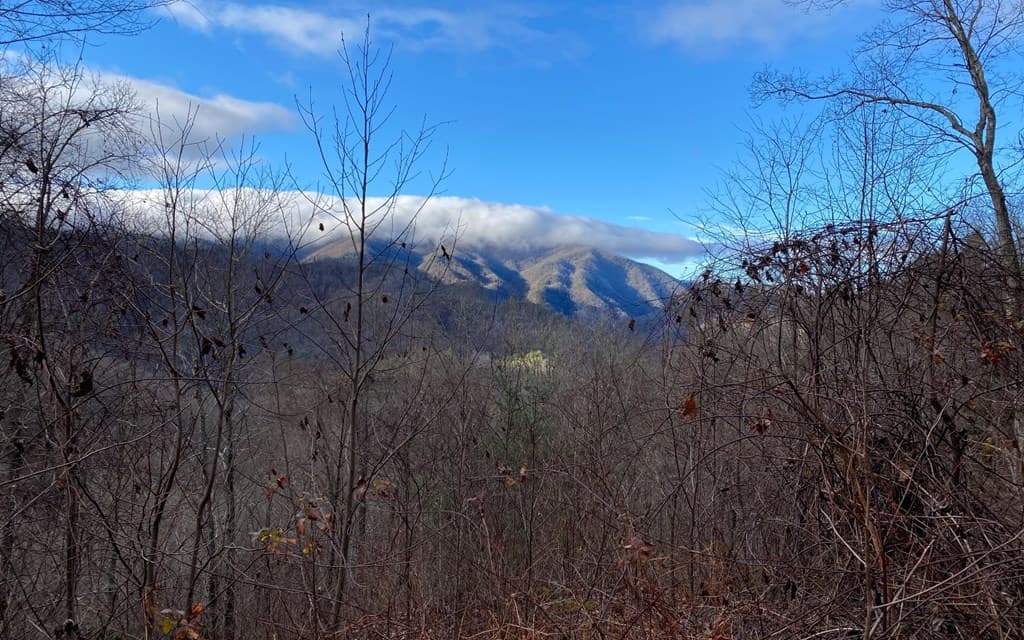 Lot M2 Georgianna Lane, Bryson City NC 28713 - Photo