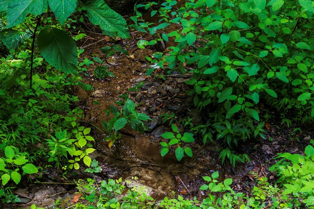 Lot M2 Georgianna Lane, Bryson City NC 28713 - Photo