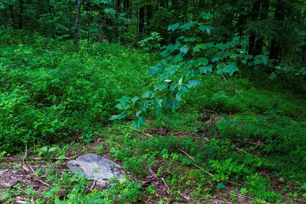 Lot M2 Georgianna Lane, Bryson City NC 28713 - Photo