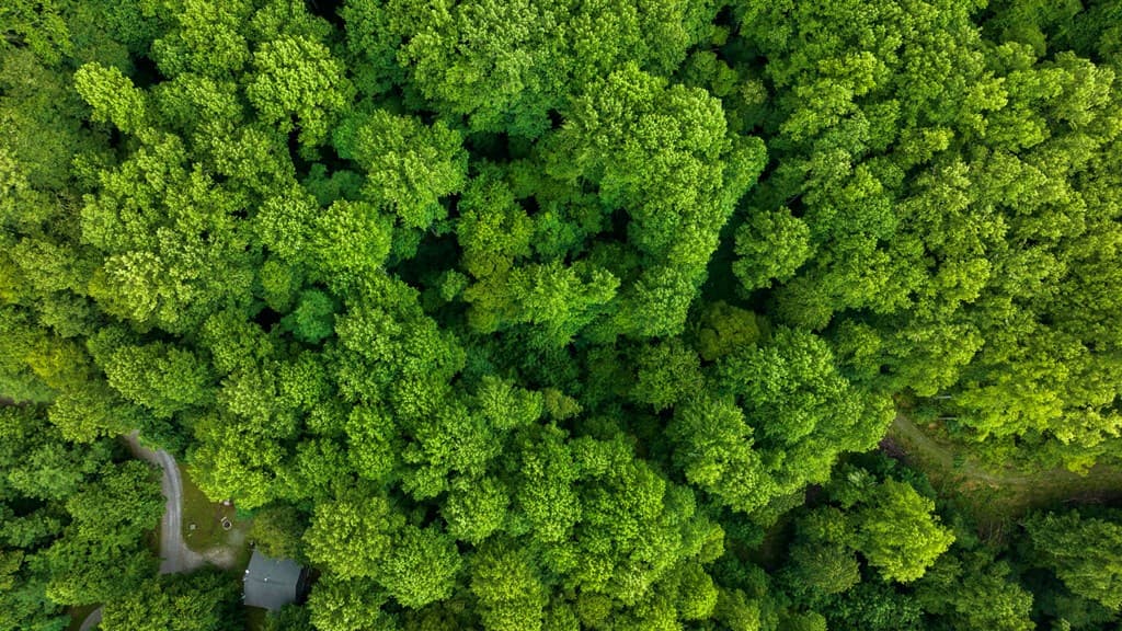 Lot M2 Georgianna Lane, Bryson City NC 28713 - Photo