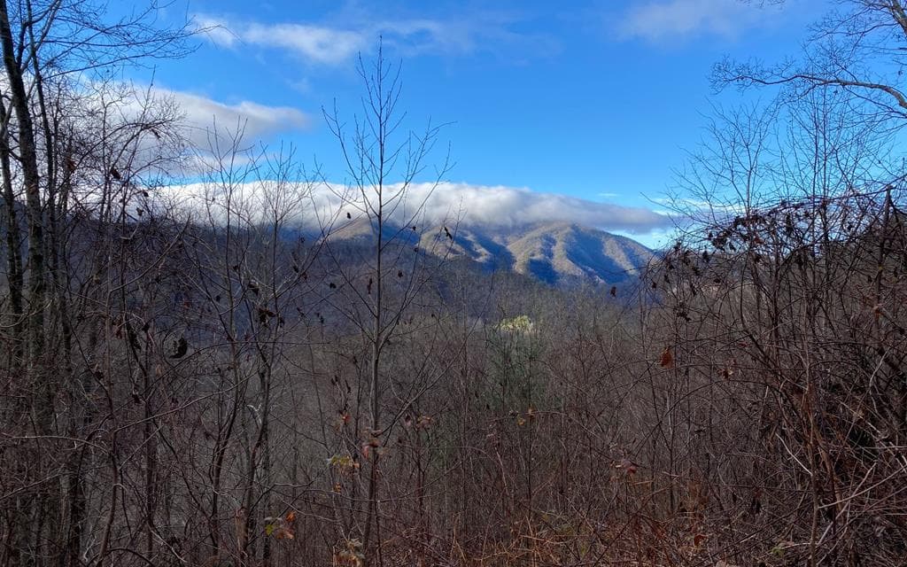 Lot M2 Georgianna Lane, Bryson City NC 28713 - Photo
