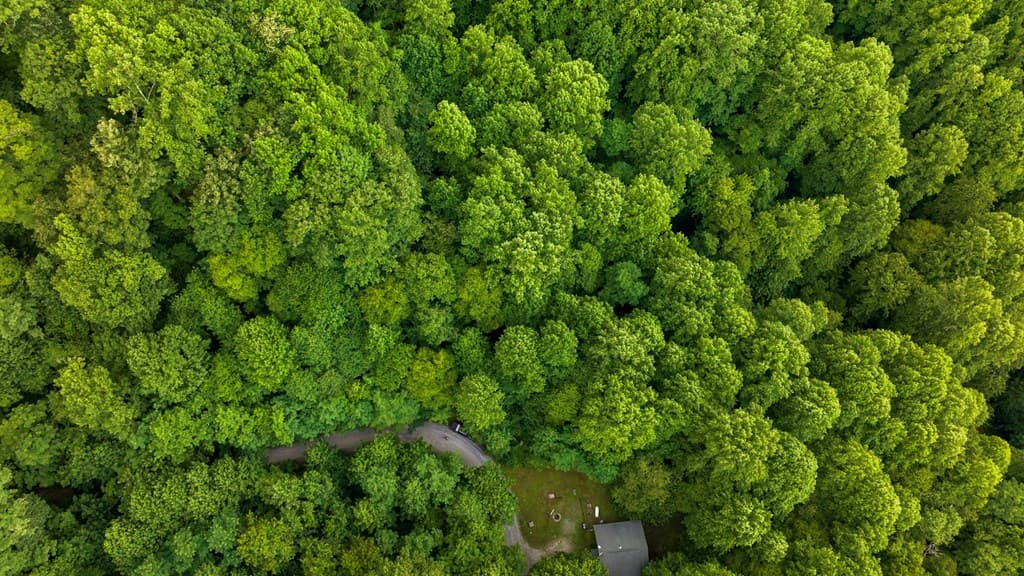 Lot M2 Georgianna Lane, Bryson City NC 28713 - Photo