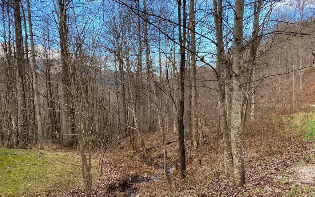 Lot M2 Georgianna Lane, Bryson City NC 28713 - Photo