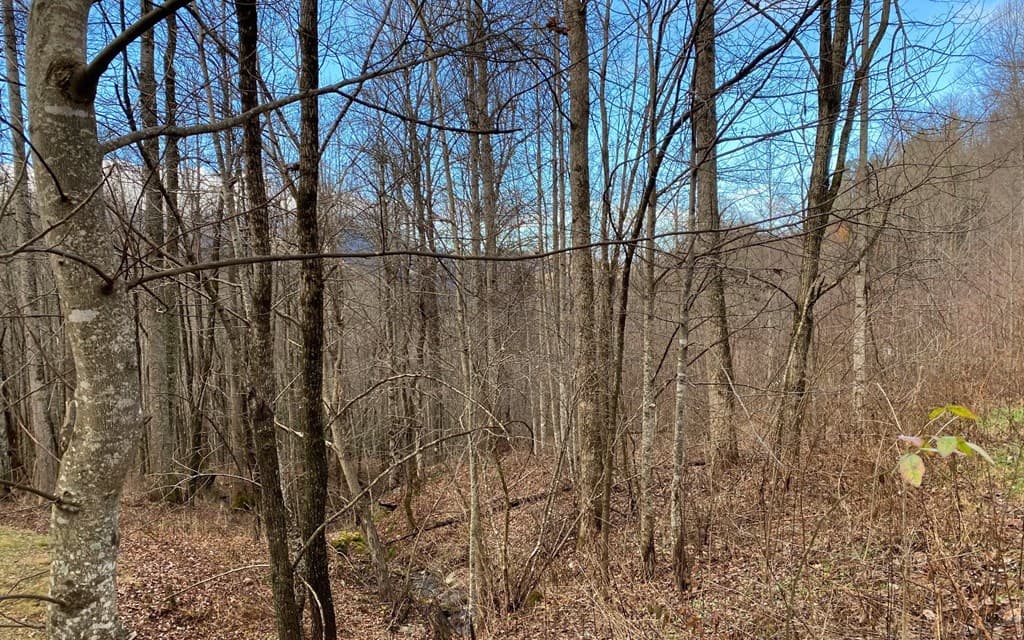 Lot M2 Georgianna Lane, Bryson City NC 28713 - Photo
