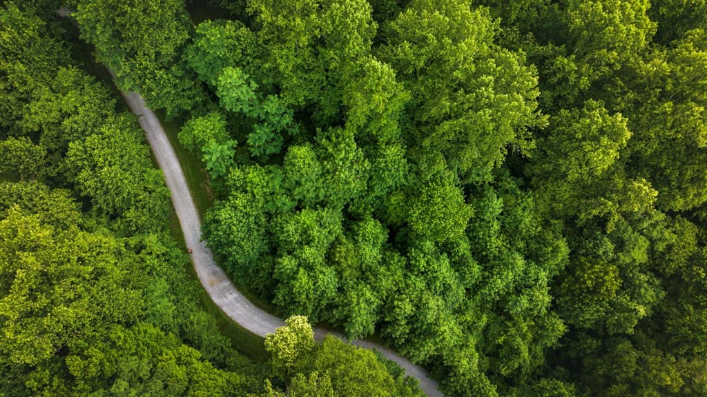 Lot M2 Georgianna Lane, Bryson City NC 28713 - Photo