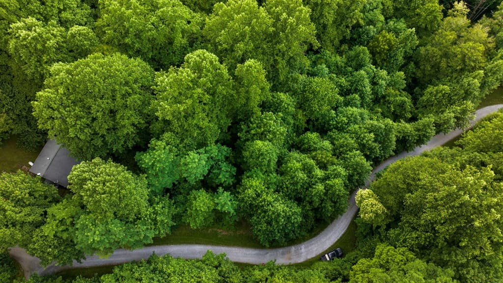 Lot M2 Georgianna Lane, Bryson City NC 28713 - Photo