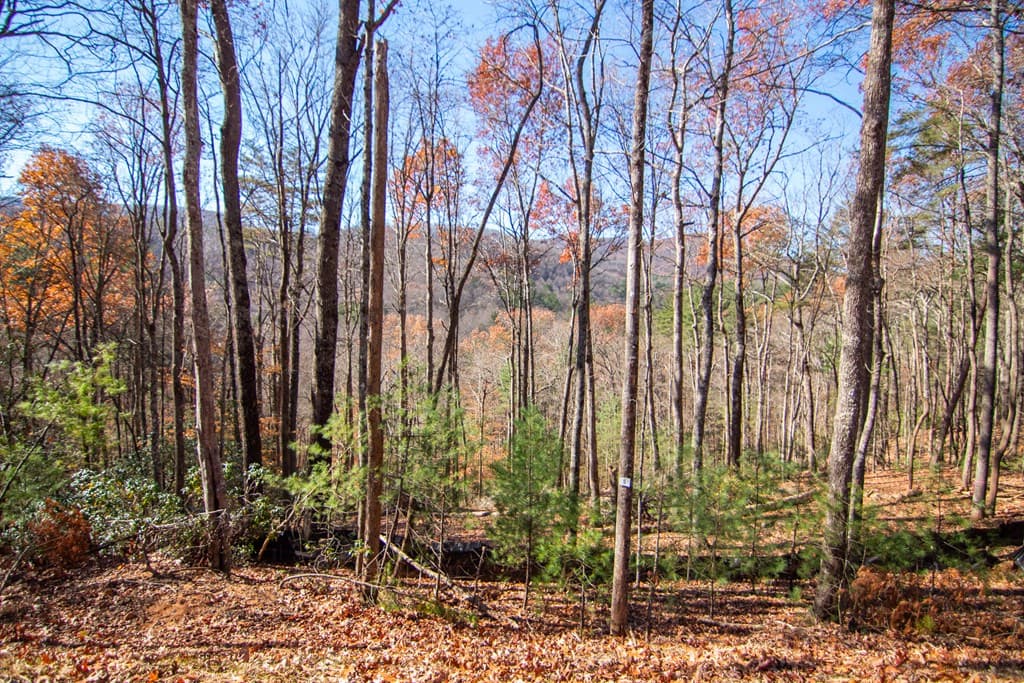 281 Clay's Way, Blue Ridge GA 30513 - Photo