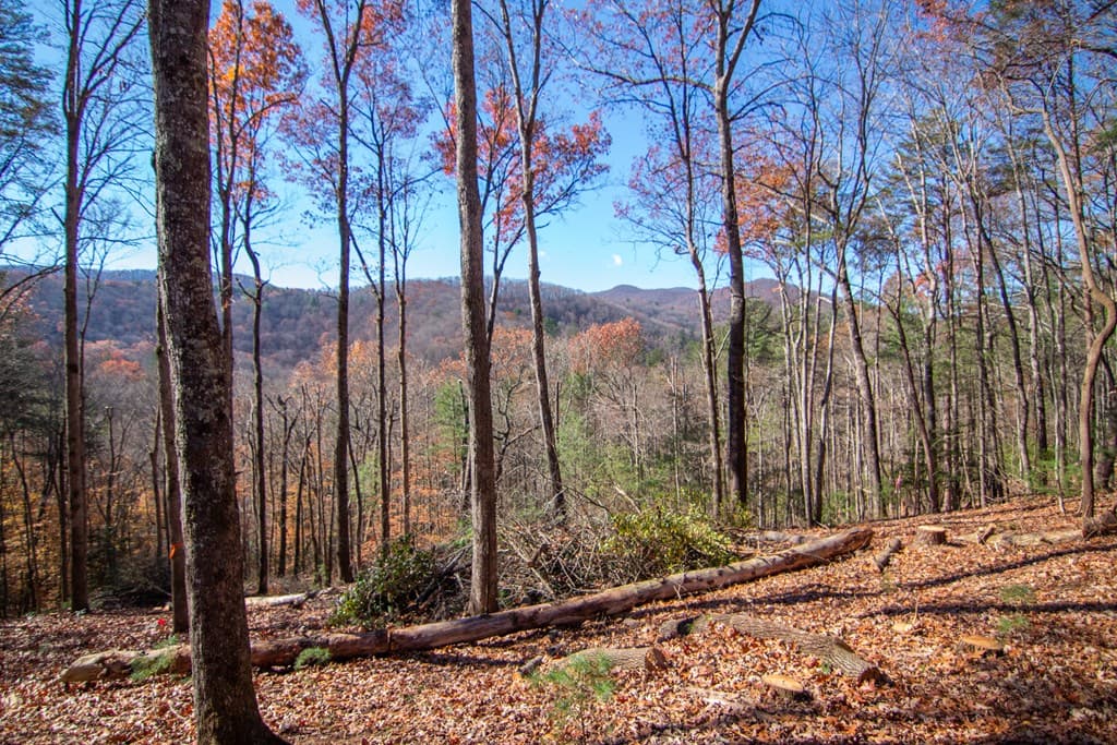 281 Clay's Way, Blue Ridge GA 30513 - Photo