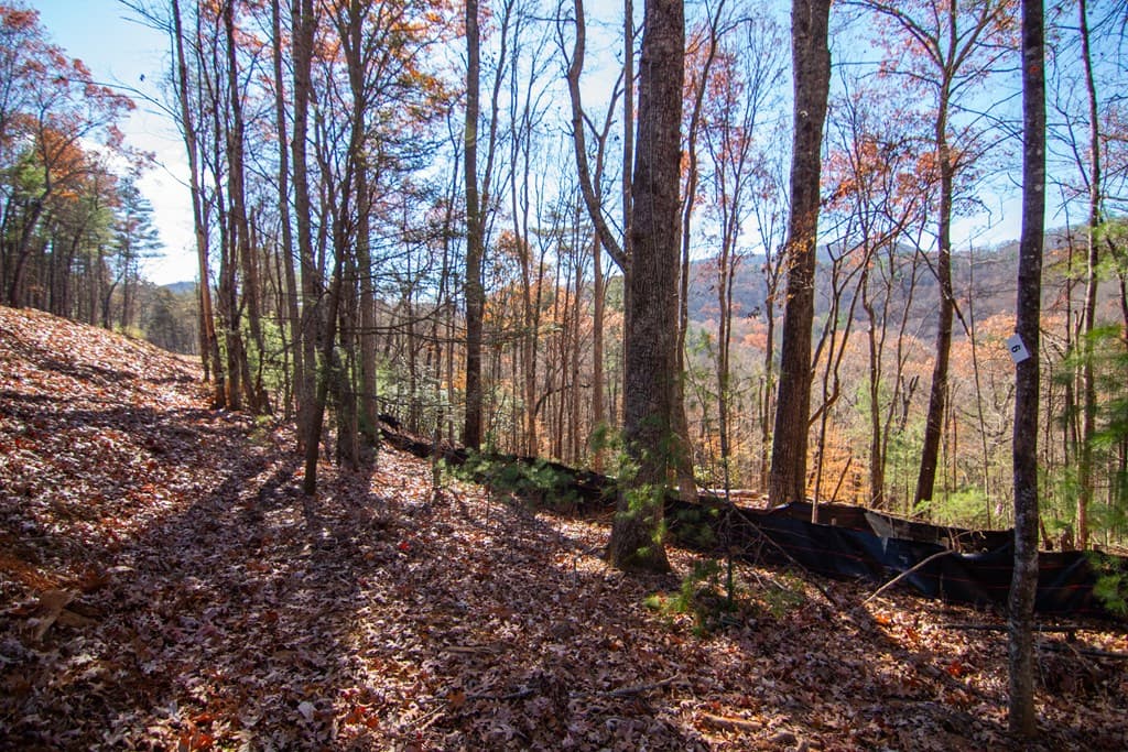 281 Clay's Way, Blue Ridge GA 30513 - Photo