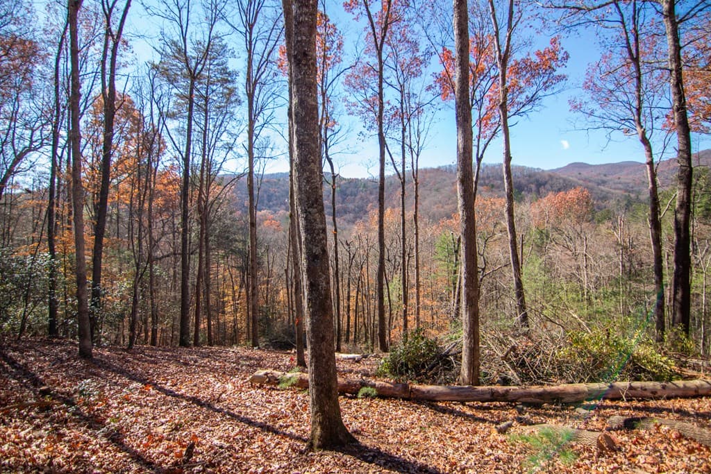 281 Clay's Way, Blue Ridge GA 30513 - Photo