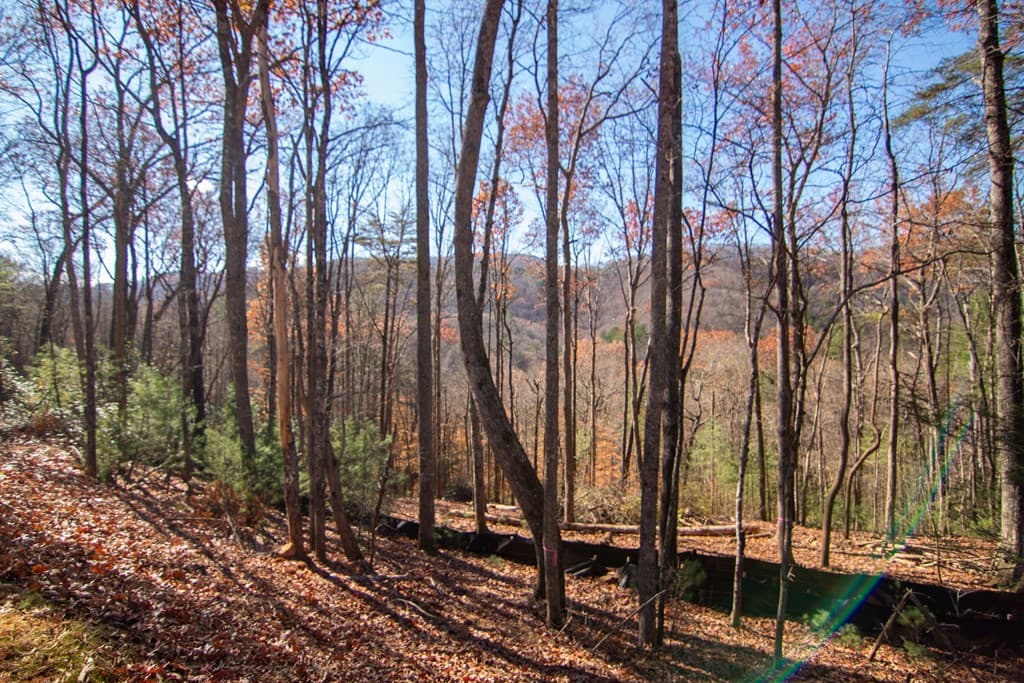 281 Clay's Way, Blue Ridge GA 30513 - Photo