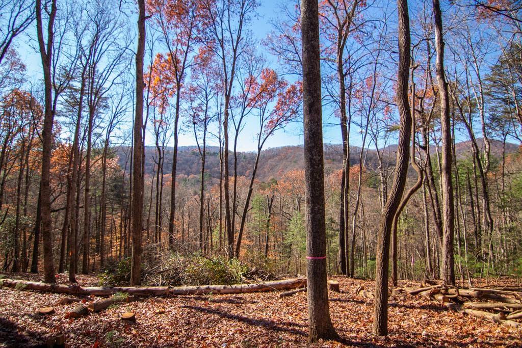 281 Clay's Way, Blue Ridge GA 30513 - Primary photo