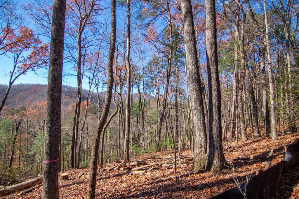 281 Clay's Way, Blue Ridge GA 30513 - Photo