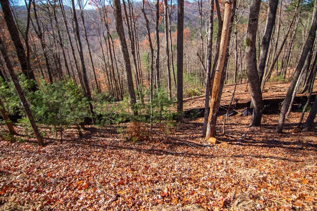 281 Clay's Way, Blue Ridge GA 30513 - Photo